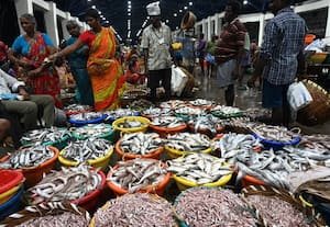  விநாயகர் சதுர்த்தி எதிரொலி சிறிய ரக மீன்கள் விலை சரிவு