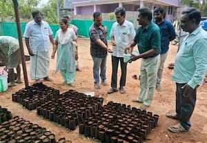  ஒரு லட்சம் மரக்கன்றுகள் நடவுப்பணி தீவிரம் 'மியாவாக்கி' காடுகள் உருவாக்கும் பணிக்காக  'நர்சரி' துவக்கம்