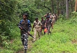  ஆட்கொல்லி புலியை தேடும் பணி முதுமலையில் வனத்துறை தீவிரம்! டிரோன் கேமராவில் கண்காணிப்பு
