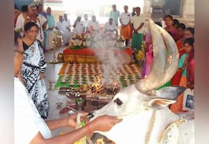  சேவூர் வாலீஸ்வரர் கோவிலில் கும்பாபிஷேக ஆண்டு விழா