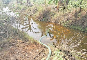 வாய்க்காலில் தண்ணீர் திருட்டு நடவடிக்கை எடுக்க கோரிக்கை