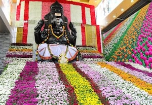  மாவட்டத்தில் விநாயகர் சதுர்த்தி கொண்டாட்டம்