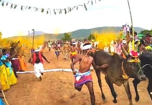  காட்டுப்பட்டியில் மாடு மாலை தாண்டும் பாரம்பரிய திருவிழா