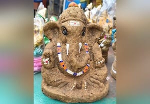  பக்தர்கள் விரும்பிய பஞ்சகவ்ய விநாயகர்