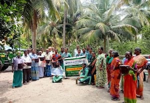  தென்னை சாகுபடியில் வண்டு மேலாண்மை செயல் விளக்கம்