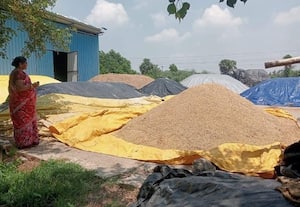 நெல் கொள்முதல் நிலையங்கள் திறப்பதில் கலெக்டர்களுக்கு சிக்கல்; வருவாய் துறையினரின் கணக்குக்காக காத்திருப்பு