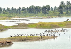 காவிரி ஆற்றில் 690 விநாயகர் சிலைகள் கரைப்பு