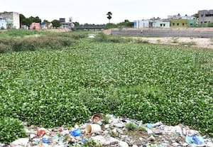 என்ன ஆனது  கவுசிகா நதி மீட்பு பணிகள் செய்தது: மீண்டும் சூழும் ஆகாயத் தாமரை, குப்பை 