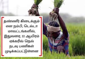 டெல்டா மாவட்டங்களில் பாசன தட்டுப்பாடு; 1,400 ஏக்கர் நாற்றுகள் கருகும் அபாயம்