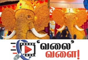 21 ஆயிரம் பானி பூரியில் 13 அடி உயர விநாயகர்! இயற்கை உரமாகப்போகுது