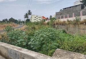  நீர்வரத்து ஓடைகள் துார்வாரப்படுமா