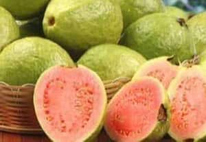 ஆயக்குடி கொய்யாவுக்கு புவிசார் குறியீடு பெற்றுத்தர ﻿ வலியுறுத்தல்: வணிகம் மேம்பட தினசரி மார்க்கெட் அமைப்பது அவசியம்