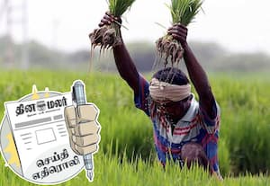 நெல் கொள்முதல் நிலையங்கள் திறக்க மீண்டும் கலெக்டர்கள் கையில் அதிகாரம்