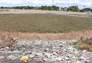  கண்மாயில் இறைச்சி கழிவுகள்