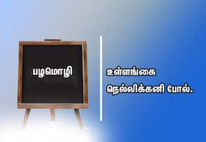  பழமொழி