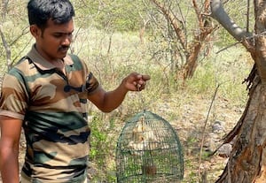  தேவாங்குகளை பாதுகாப்பதில் அக்கறை தேவை வனத்துறையினர் வேண்டுகோள்