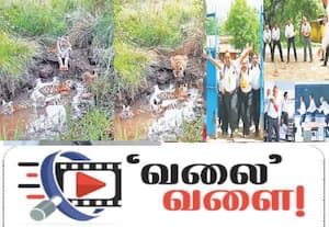  வலை வளை: தாயிற் சிறந்த கோவிலுமில்லை