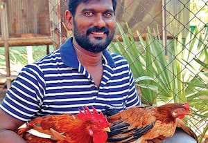  'நாட்டுக் கோழிகள் வளர்ப்பில் நல்ல லாபம்!'