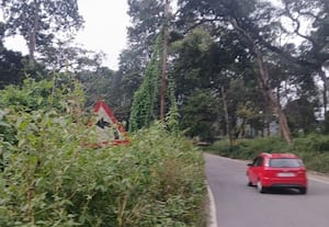  புதர்களால் வாகன ஓட்டிகள் அவதி!