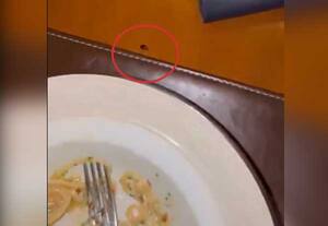 டின்னருக்கு வந்த கரப்பான் பூச்சி; நட்சத்திர ஹோட்டலில் அதிர்ச்சி