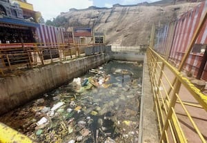 சிலைகள் கரைத்த தொட்டியை துாய்மைப்படுத்த கோரிக்கை
