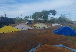 மழையில் நனைந்து 5 லட்சம் நெல் மூட்டைகள் சேதமானதாக ﻿ குற்றச்சாட்டு; குடோன்களுக்கு விவசாயிகளே கொண்டு செல்ல ஆலோசனை
