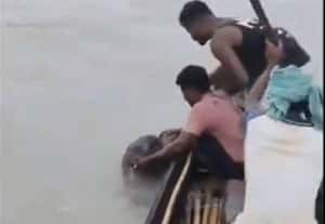 3 கி.மீ., ஆற்றில் பயணித்து யானைக்குட்டியை மீட்ட மீனவர்கள்
