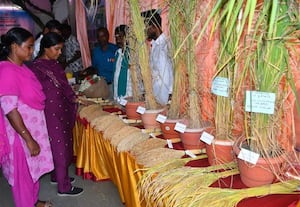  வேளாண்மை கண்காட்சி 