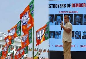 Rahul lacks political acumen, BJP hits back at criticism of EC
