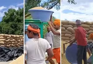 நெல் கொள்முதல் பணியில் வட மாநில தொழிலாளர்கள்; பிரச்னைக்கு அரசு புதிய தீர்வு