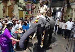  ராமேஸ்வரம் கோயிலுக்கு புதிய யானை