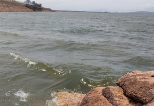  வைகை அணைக்கு நீர் வரத்து குறைவு நீர்மட்டம் தொடர்ந்து உயர்வதில் சிக்கல்