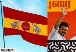 2026 சட்டசபை தேர்தலில் தவெக செலவு ரூ.19.8 கோடி; திமுக செய்ததில் பத்தில் ஒரு பங்கு தான்!