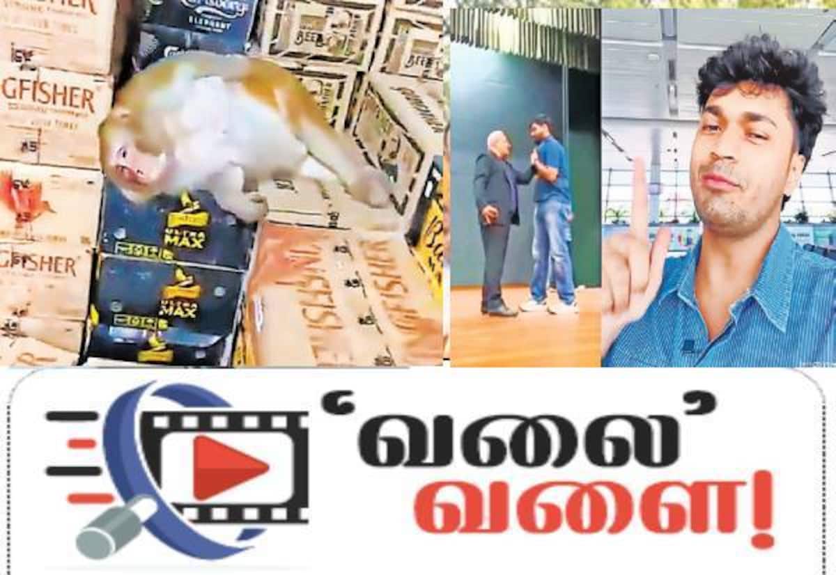 ராஞ்சி மதுக்கடையில் குரங்கு மது குடித்த சம்பவம்