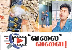 வலை வளை:  மதுக்கடையில் 'மட்டை':குரங்கார் செய்த சேட்டை
