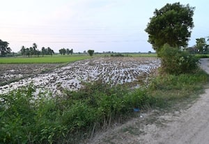   ஆக்கிரமிப்பு செய்து பயிரிடப்பட்ட ஏரிகளை மீட்பதற்கு... சரியான தருணம் !:காவல் துறையில் புகார் அளிக்கவும் அதிகாரிகளுக்கு அறிவுரை
