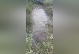  கொப்பளித்து வீணாகுது குடிநீர்