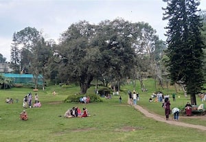  'கொடை'யில் பனிமூட்டம்