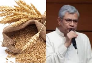 கோதுமையின் குறைந்தபட்ச ஆதரவு விலை குவிண்டாலுக்கு ரூ. 25 உயர்வு; மத்திய அமைச்சரவை ஒப்புதல்
