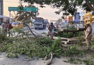  மரக்கிளை முறிந்தது போக்குவரத்து பாதிப்பு
