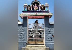  பல்லடம் அருகே குரங்கார் 'விசிட்'