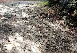  சேதமான சாலையால் சுற்றுலா பயணிகள் அதிருப்தி