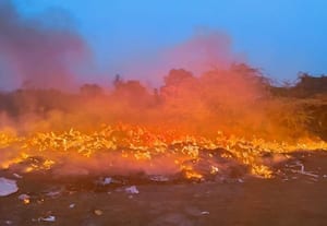  தொழிற்சாலை கழிவுகளை எரிப்பதால் பாதிப்பு