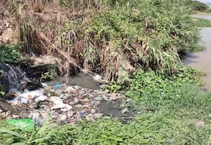 கழிவுநீர், குப்பை கொட்டும் இடமாக மாறி வரும் நீர்நிலைகள்: உள்ளாட்சிகள் அலட்சியத்தால் அசுத்தமாகும் ஆறுகள்