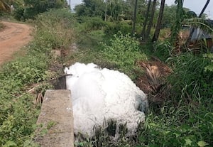 பாதாள சாக்கடை கழிவு நீரால் விவசாயம் பாதிப்பு