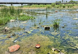 திருப்புவனம் திதி பொட்டல் அருகே தேங்கிய சாக்கடை கழிவால் அவதி