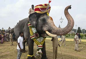 கேப்டன் அபிமன்யு