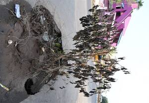 குடிநீர் குழாயில் உடைப்பு ஏற்பட்டு ஈக்காடு சாலையில் பெரும் பள்ளம்: வாகன ஓட்டிகள் அவதி
