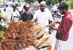 கரூர் வட்டார பகுதிகளில் பனங்கிழங்கு விற்பனை