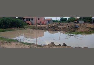 வரத்து கால்வாய் துார்வாராததால் ஆங்காங்கே தேங்கும் மழை நீர்